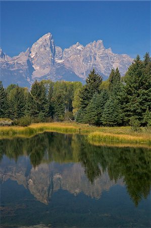 Snake River at the Schwabacher Landing, Grand Teton National Park, Wyoming, United States of America, North America Stock Photo - Rights-Managed, Code: 841-06502738