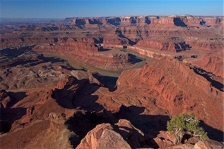 simsearch:841-06502755,k - Colorado River from Dead Horse Point Overlook, Dead Horse Point State Park, Utah, United States of America, North America Photographie de stock - Rights-Managed, Code: 841-06502744