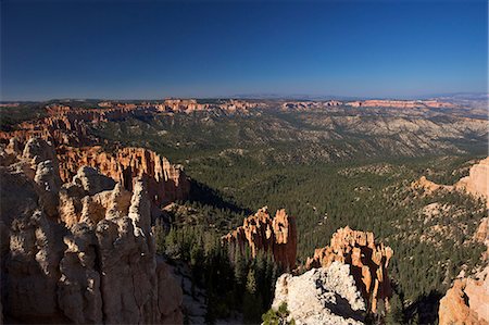 simsearch:841-07600161,k - View early morning from Ponderosa Point, Bryce Canyon National Park, Utah, United States of America, North America Fotografie stock - Rights-Managed, Codice: 841-06502781