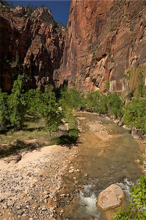 simsearch:841-06502492,k - Riverside Walk in Virgin River Canyon, north of Temple of Sinawava, Zion National Park, Utah, United States of America, North America Photographie de stock - Rights-Managed, Code: 841-06502790