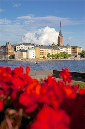 simsearch:841-06502894,k - City skyline and flowers, Stockholm, Sweden, Scandinavia, Europe Foto de stock - Con derechos protegidos, Código: 841-06502868