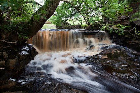 refreshed - Waterfall in Whitfield Gill near Askrigg, Wensleydale, North Yorkshire, Yorkshire, England, United Kingdom, Europe Foto de stock - Con derechos protegidos, Código: 841-06503020