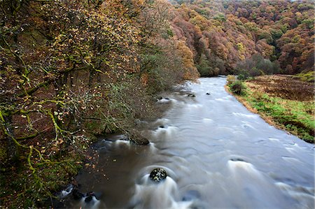 simsearch:841-06503361,k - The River Greta in Brundholme Woods, Keswick, Cumbria, England, United Kingdom, Europe Photographie de stock - Rights-Managed, Code: 841-06503036