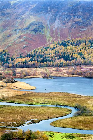 derwentwater - Derwentwater and the Slopes of Catbells in autumn from Surprise View in Ashness Woods near Grange, Lake District National Park, Cumbria, England, United Kingdom, Europe Stock Photo - Rights-Managed, Code: 841-06503044