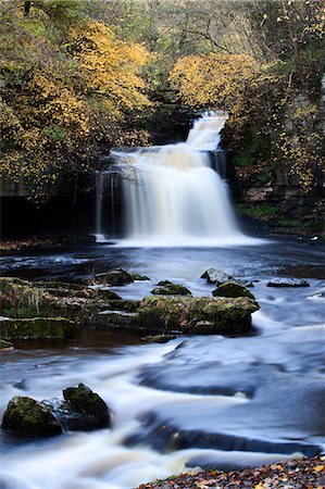 West Burton Waterfall in autumn, Wensleydale, North Yorkshire, England, United Kingdom, Europe Foto de stock - Con derechos protegidos, Código: 841-06503059
