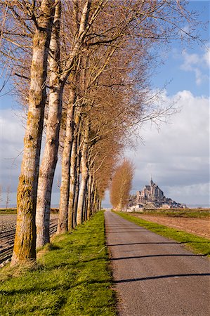 A tree lined avenue leads towards Mont Saint Michel, UNESCO World Heritage Site, Normandy, France, Europe Foto de stock - Con derechos protegidos, Código: 841-06503218