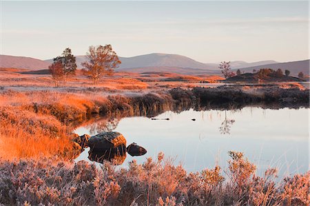 escocia - Loch Ba on a frosty morning at Rannoch Moor, a Site of Special Scientific Interest, Perth and Kinross, Highlands, Scotland, United Kingdom, Europe Foto de stock - Con derechos protegidos, Código: 841-06503280