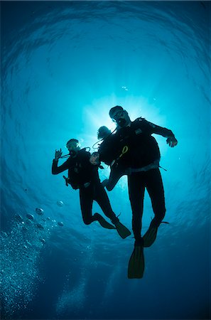 simsearch:841-07084405,k - Low angle view of three scuba divers, backlit, Sharm El Sheikh, South Sinai, Red Sea, Egypt, North Africa, Africa Photographie de stock - Rights-Managed, Code: 841-06503427