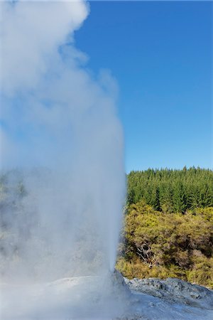 simsearch:841-09194485,k - The Lady Knox Geyser, Waiotapu Thermal Area, Rotorua, North Island, New Zealand, Pacific Stock Photo - Rights-Managed, Code: 841-06616408