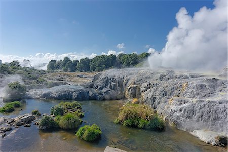 Pohutu Geyser, Rotorua, North Island, New Zealand, Pacific Photographie de stock - Rights-Managed, Code: 841-06616425