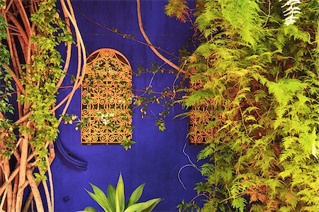 The Majorelle Gardens, Marrakesh, Morocco, North Africa, Africa Foto de stock - Con derechos protegidos, Código: 841-06616458