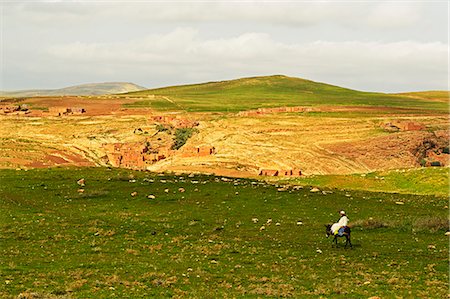 equus africanus asinus - Traditional Berber country near Ait Khaled, High Atlas, Morocco, North Africa, Africa Stock Photo - Rights-Managed, Code: 841-06616472