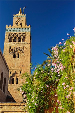 simsearch:841-07081082,k - Koutoubia Mosque, Marrakesh, Morocco, North Africa, Africa Foto de stock - Con derechos protegidos, Código: 841-06616497