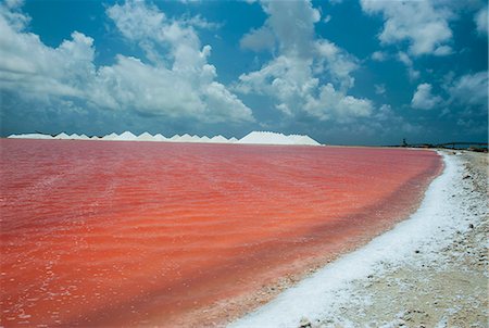 saltflat - Saline a salt mine in Bonaire, ABC Islands, Netherlands Antilles, Caribbean, Central America Stock Photo - Rights-Managed, Code: 841-06616784