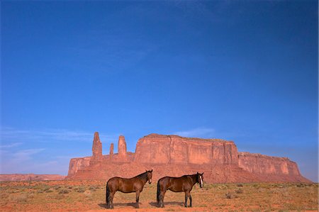 Two Navajo horses, Monument Valley Navajo Tribal Park, Utah, United States of America, North America Stockbilder - Lizenzpflichtiges, Bildnummer: 841-06616857