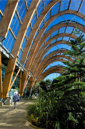 Winter Gardens, Sheffield, South Yorkshire, Yorkshire, England, United Kingdom, Europe Stock Photo - Rights-Managed, Code: 841-06616923