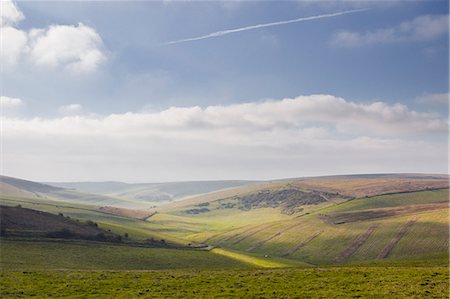 south downs - Stump Bottom and the rolling hills of the South Downs National Park near to Brighton, Sussex, England, United Kingdom, Europe Fotografie stock - Rights-Managed, Codice: 841-06617020