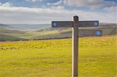 east sussex - The rolling hills of the South Downs National Park near to Brighton, Sussex, England, United Kingdom, Europe Foto de stock - Con derechos protegidos, Código: 841-06617021