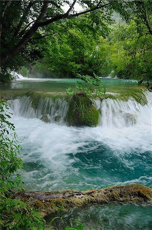 plitvice waterfalls croatia - Milke Trnine waterfall overhung by trees at Plitvice Lakes National Park, UNESCO World Heritage Site, Croatia, Europe Stock Photo - Rights-Managed, Code: 841-06617182