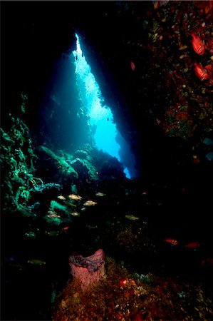 sous-marin (subaquatique) - Swim through, Dominica, West Indies, Caribbean, Central America Photographie de stock - Rights-Managed, Code: 841-06804481