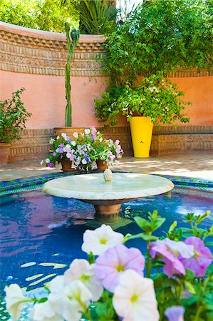 Fountain and flowers in the Majorelle Gardens (Gardens of Yves Saint-Laurent), Marrakech, Morocco, North Africa, Africa Stock Photo - Rights-Managed, Code: 841-06804576