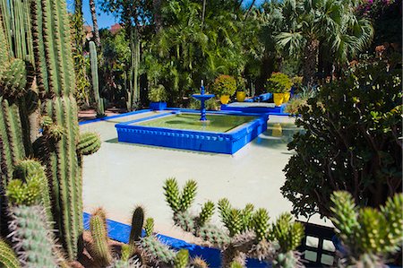 Blue fountain and cactus in the Majorelle Gardens (Gardens of Yves Saint-Laurent), Marrakech, Morocco, North Africa, Africa Stock Photo - Rights-Managed, Code: 841-06804581