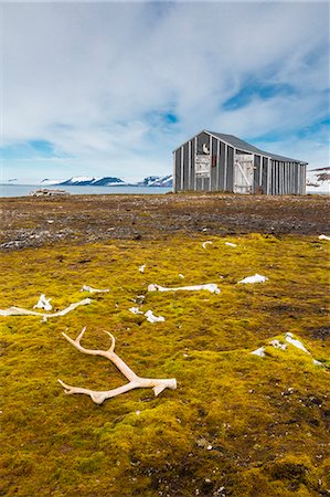 remote cabin nobody - Norwegian hunters cabin, Barentsoya (Barents Island), Svalbard Archipelago, Norway, Scandinavia, Europe Stock Photo - Rights-Managed, Code: 841-06805146