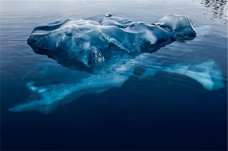 Black ice, Bahia Paraiso (Paradise Bay), Antarctic Peninsula, Antarctica, Polar Regions Foto de stock - Con derechos protegidos, Código: 841-06805385