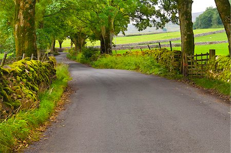 english countryside - Country road, Yorkshire Dales National Park, Yorkshire, England, United Kingdom, Europe Foto de stock - Con derechos protegidos, Código: 841-06805569
