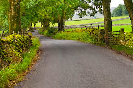 english stone wall - Country road, Yorkshire Dales National Park, Yorkshire, England, United Kingdom, Europe Stock Photo - Rights-Managed, Code: 841-06805569