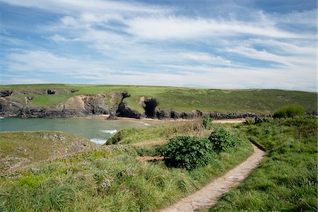 simsearch:841-06805830,k - A cliff path near Porthcothan Bay, Cornwall, England, United Kingdom, Europe Stock Photo - Rights-Managed, Code: 841-06805641