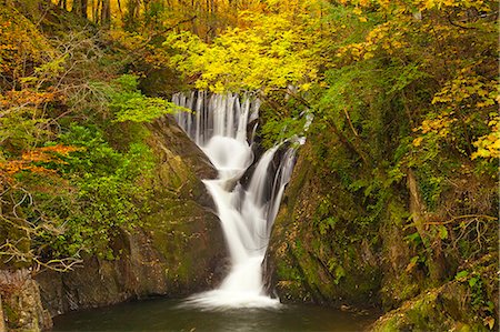 fournaise - Furnace Falls, Furnace, Dyfed, Wales, United Kingdom, Europe Foto de stock - Con derechos protegidos, Código: 841-06805818