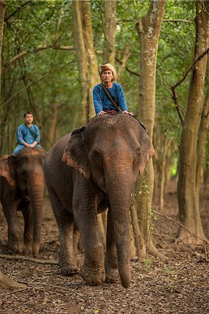 elephants and people - Four Seasons Elephant Camp, Northern Thailand, Southeast Asia, Asia Stock Photo - Rights-Managed, Code: 841-06805889