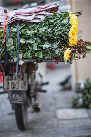 Moped and flowers, Hanoi, Vietnam, Indochina, Southeast Asia, Asia Foto de stock - Con derechos protegidos, Código: 841-06805940
