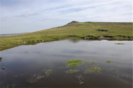 simsearch:841-06805796,k - Tor and a moorland pond, Dartmoor National Park, Devon, England, United Kingdom, Europe Foto de stock - Direito Controlado, Número: 841-06806146