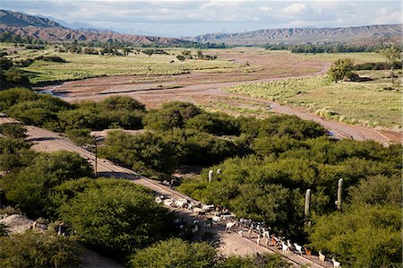 simsearch:841-06806229,k - Landscape of the Quebrada de Humahuaca, UNESCO World Heritage Site, Jujuy Province, Argentina, South America Photographie de stock - Rights-Managed, Code: 841-06806226