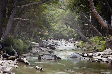 river in forest - Pichi Traful River, Patagonia, Argentina, South America Stock Photo - Rights-Managed, Code: 841-06806258