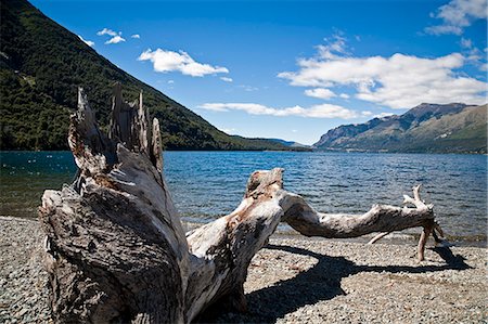 Guttierez Lake in Estancia Peuma Hue, Lake District, Patagonia, Argentina, South America Stock Photo - Rights-Managed, Code: 841-06806250
