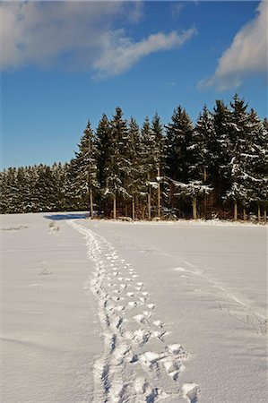 snow foot prints - Black Forest in winter, near Villingen-Schwenningen, Baden-Wurttemberg, Germany, Europe Stock Photo - Rights-Managed, Code: 841-06806308