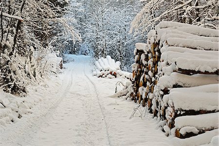 recouvert de neige - Black Forest in winter, near Villingen-Schwenningen, Schwarzwald-Baar, Baden-Wurttemberg, Germany, Europe Photographie de stock - Rights-Managed, Code: 841-06806315