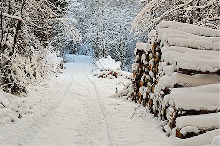 european lanes - Black Forest in winter, near Villingen-Schwenningen, Schwarzwald-Baar, Baden-Wurttemberg, Germany, Europe Stock Photo - Rights-Managed, Code: 841-06806315