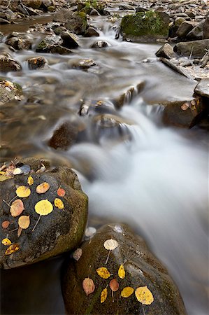 Cascades on the Big Bear Creek in the fall, San Miguel County, Colorado, United States of America, North America Foto de stock - Con derechos protegidos, Código: 841-06806381