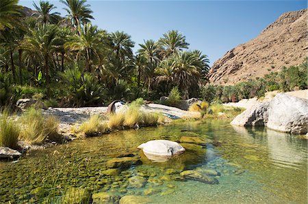 Wadi Bani Khalid, Oman, Middle East Photographie de stock - Rights-Managed, Code: 841-06806490