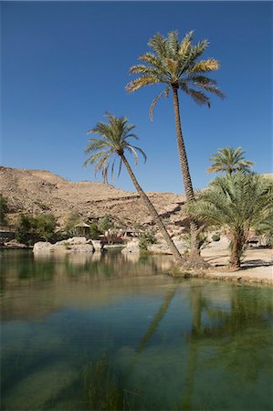 Wadi Bani Khalid, an oasis in the desert, Oman, Middle East Foto de stock - Direito Controlado, Número: 841-06806492
