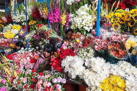 Flowers in local market Cuzco, Peru, South America Stockbilder - Lizenzpflichtiges, Bildnummer: 841-06806706