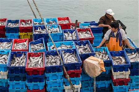 pez - Sardine fishermen in Los Organos village near Mancora, Peru, South America Foto de stock - Con derechos protegidos, Código: 841-06806700