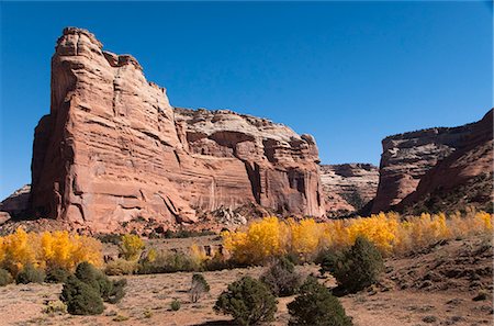 desert rock - Canyon de Chelly, Arizona, United States of America, North America Stock Photo - Rights-Managed, Code: 841-06806808