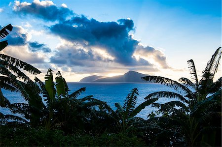 palm tree island - Sunset over Ofu Island, Manua Island group, American Samoa, South Pacific, Pacific Stock Photo - Rights-Managed, Code: 841-06807137