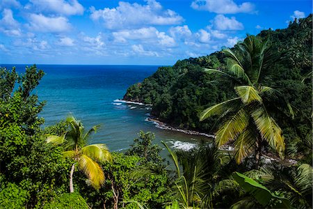 dominica - Pagua Bay in Dominica, West Indies, Caribbean, Central America Stock Photo - Rights-Managed, Code: 841-06807242