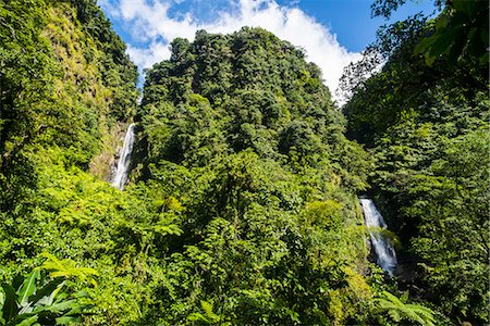 dominica - Trafalgar Falls, Morne Trois Pitons National Park, UNESCO World Heritage Site, Dominica, West Indies, Caribbean, Central America Stockbilder - Lizenzpflichtiges, Bildnummer: 841-06807256